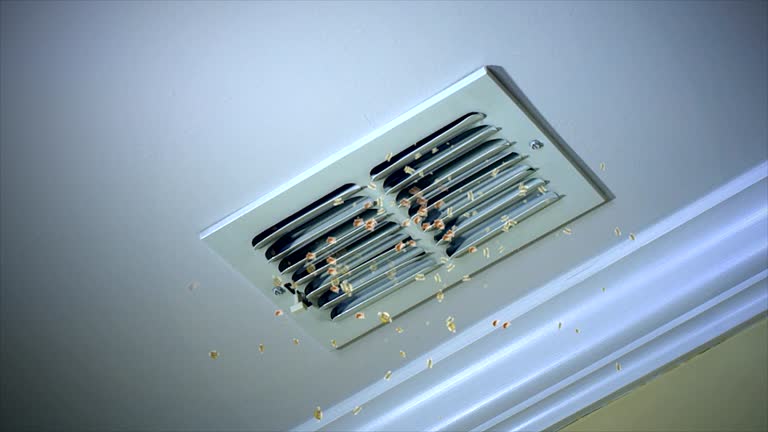 Best Duct Cleaning Specialists  in Melbourne Beach, FL