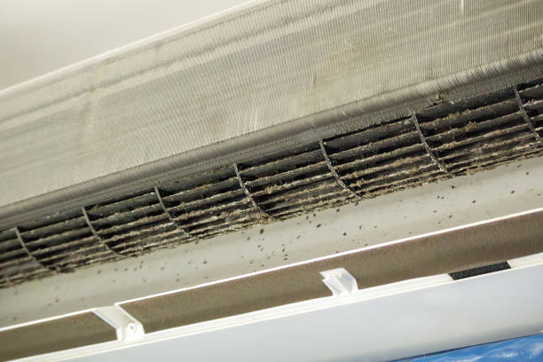 Best Affordable HVAC Duct Cleaning  in Melbourne Beach, FL